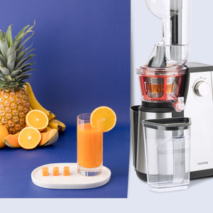 Estrattore succo H.Koenig GSX24