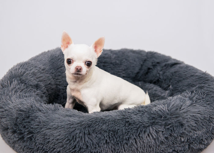 Cuccia Cane Gatto Cuscino Peloso Morbido Peluches Caldo Rotondo Ciambella Animali Fluffy - Grande - Grigio Scuro