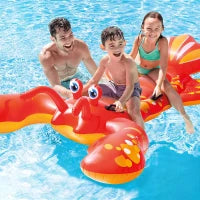 57528NP - Cavalcabile Aragosta 213X137