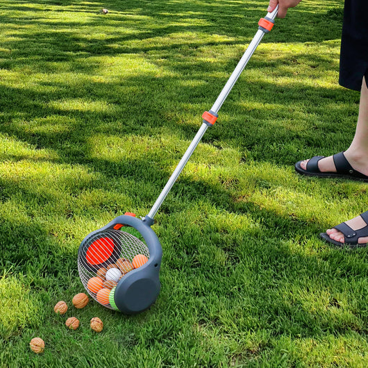 Bawang - Rullo Raccoglifrutta da 2 a 4 cm con Asta Telescopica in Acciaio per Frutta Nocciole Castagne e Oggetti