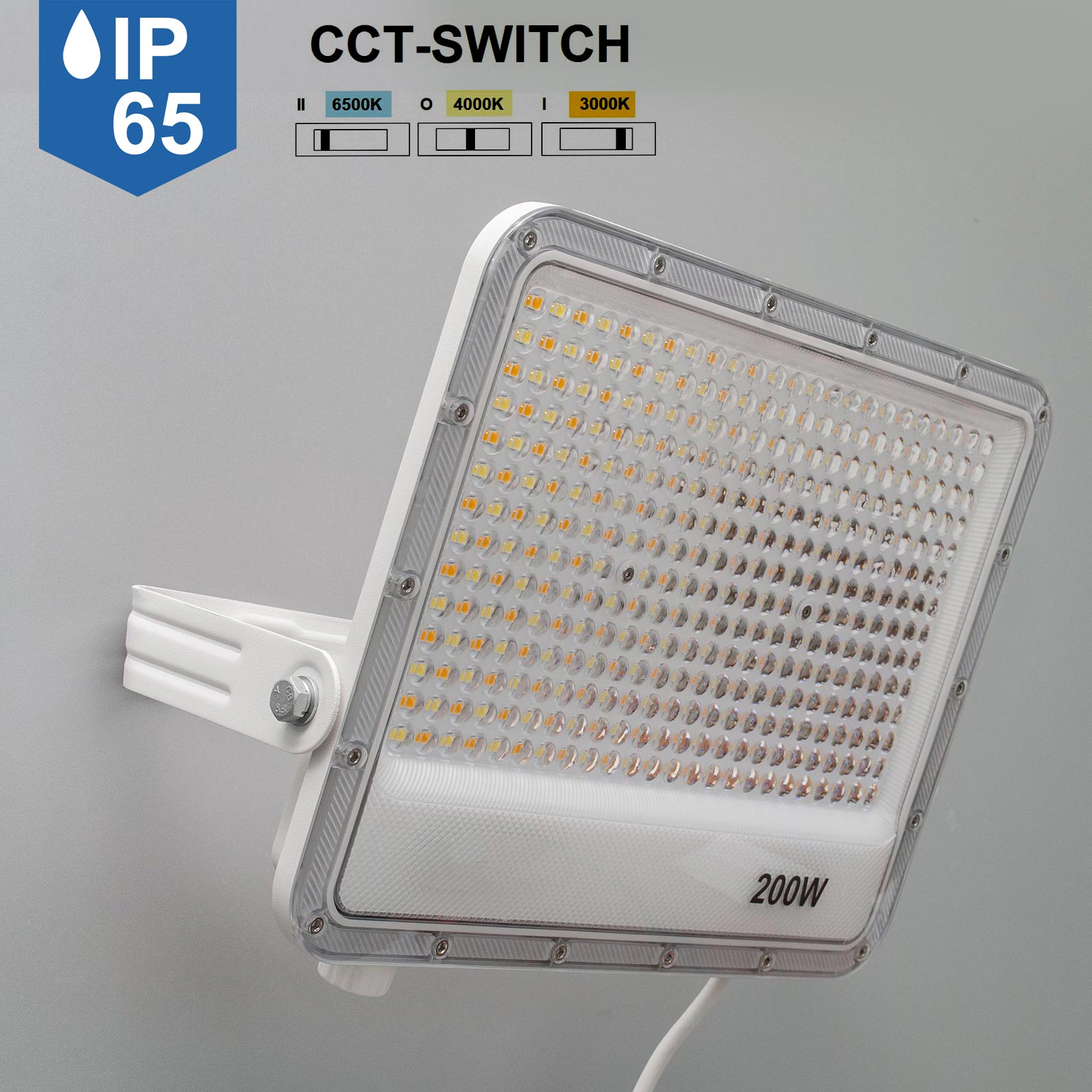 Faro slim per esterno LED IP65 con interruttore CCT da 3000K a 6500K faretto bianco staffa luce giardino insegna tabella 200W