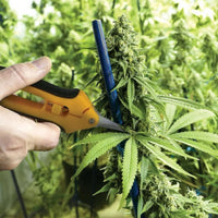 Forbici potatura Forbici cesoie con manico ergonomico 6.5" 165mm  353711