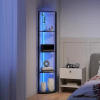 Lampada da Terra a Colonna con 5 Ripiani e Illuminazione a LED, 42x29,5x163 cm, Nero