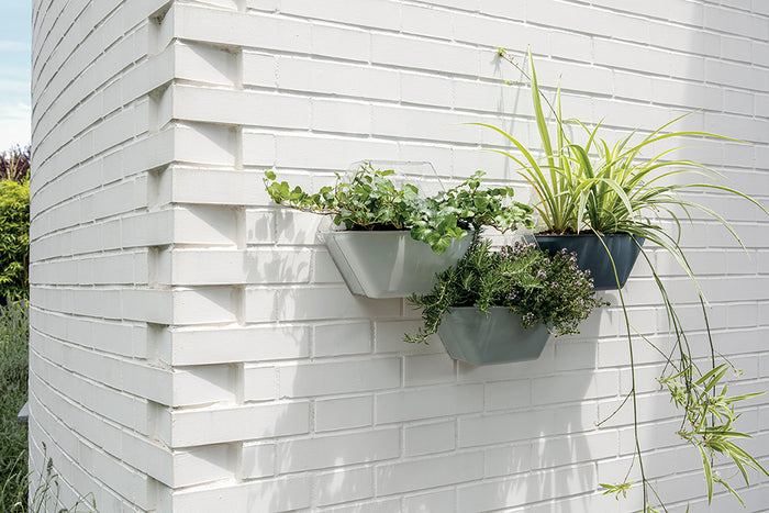 MODO GRIGIO SCURO, vaso da interno modulabile, appendibile a muro o da appoggio, MADE IN ITALY