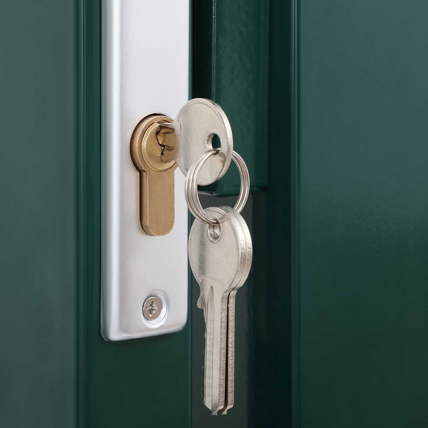 Cancello in rete cancello saldato robusto e durevole in acciaio zincato con serratura e chiavi dimensioni cancello: 106 x 100 cm dimensioni maglia: 50 x 200 mm verde 12_0001940