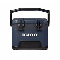 GHIACCIAIE BMX 25 BLU