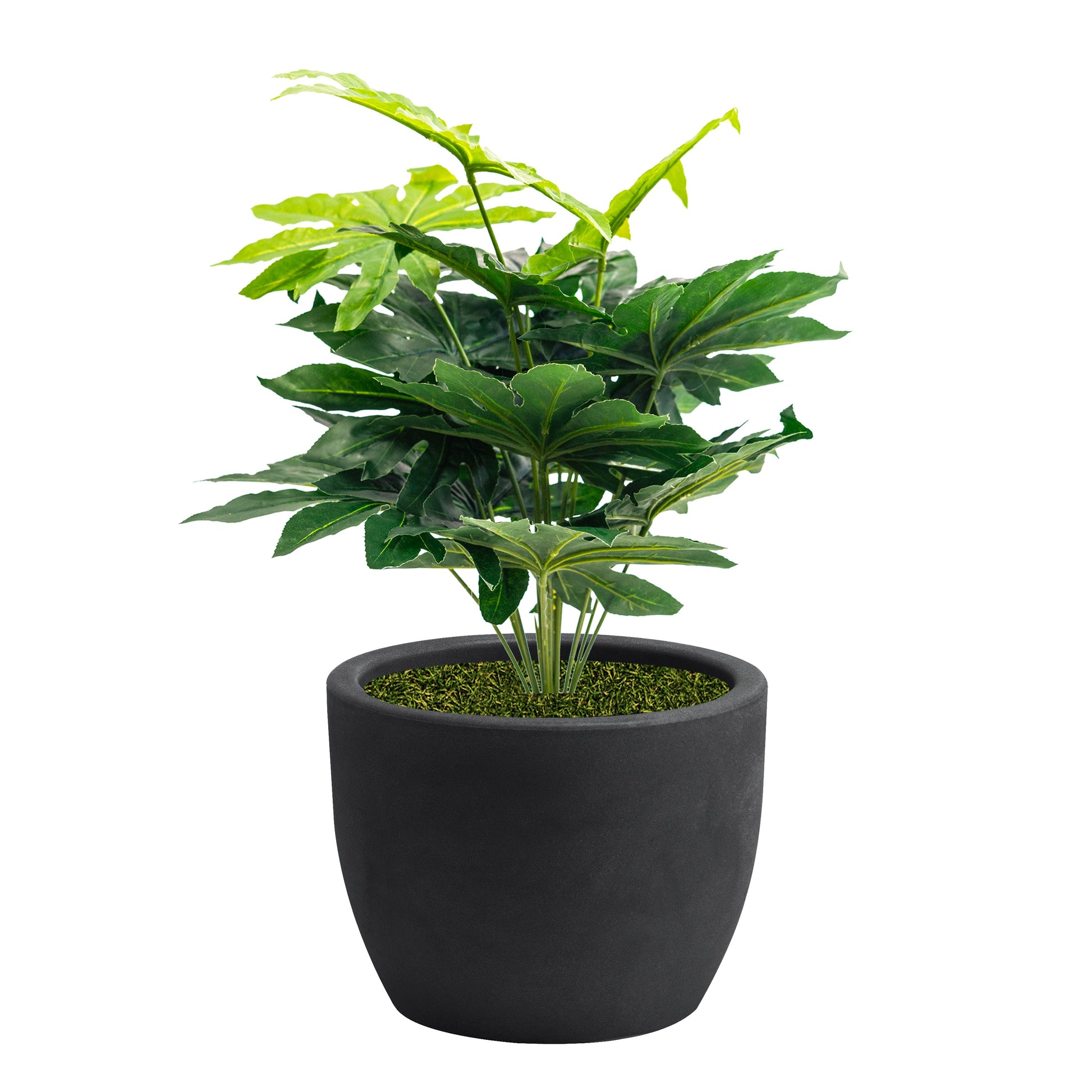 Pianta artificiale con vaso nicoli Hera incluso