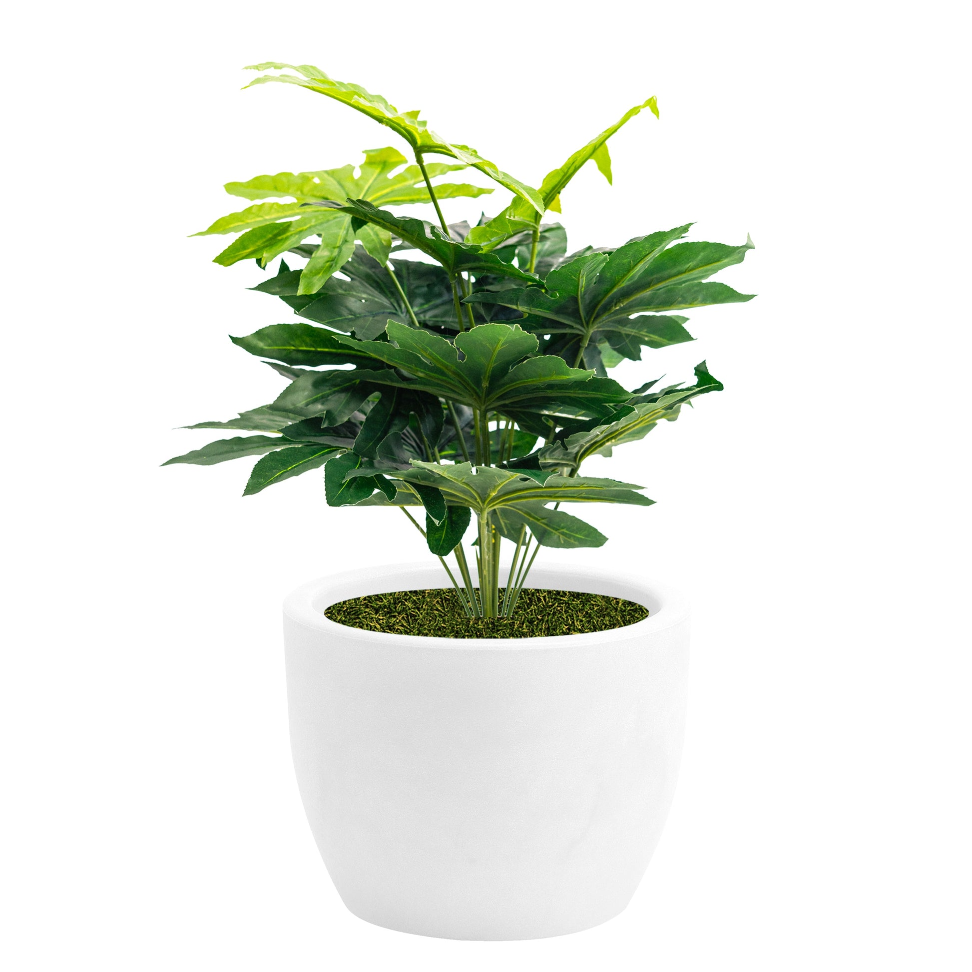 Pianta artificiale con vaso nicoli Hera incluso