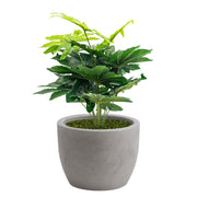 Pianta artificiale con vaso nicoli Hera incluso