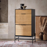 SoBuy Scarpiera da ingresso Cassettiera con 1 cassetto e 2 ribalte per ingresso, corridoio e soggiorno Nero 64x40x115 cm HFSR03-SCH