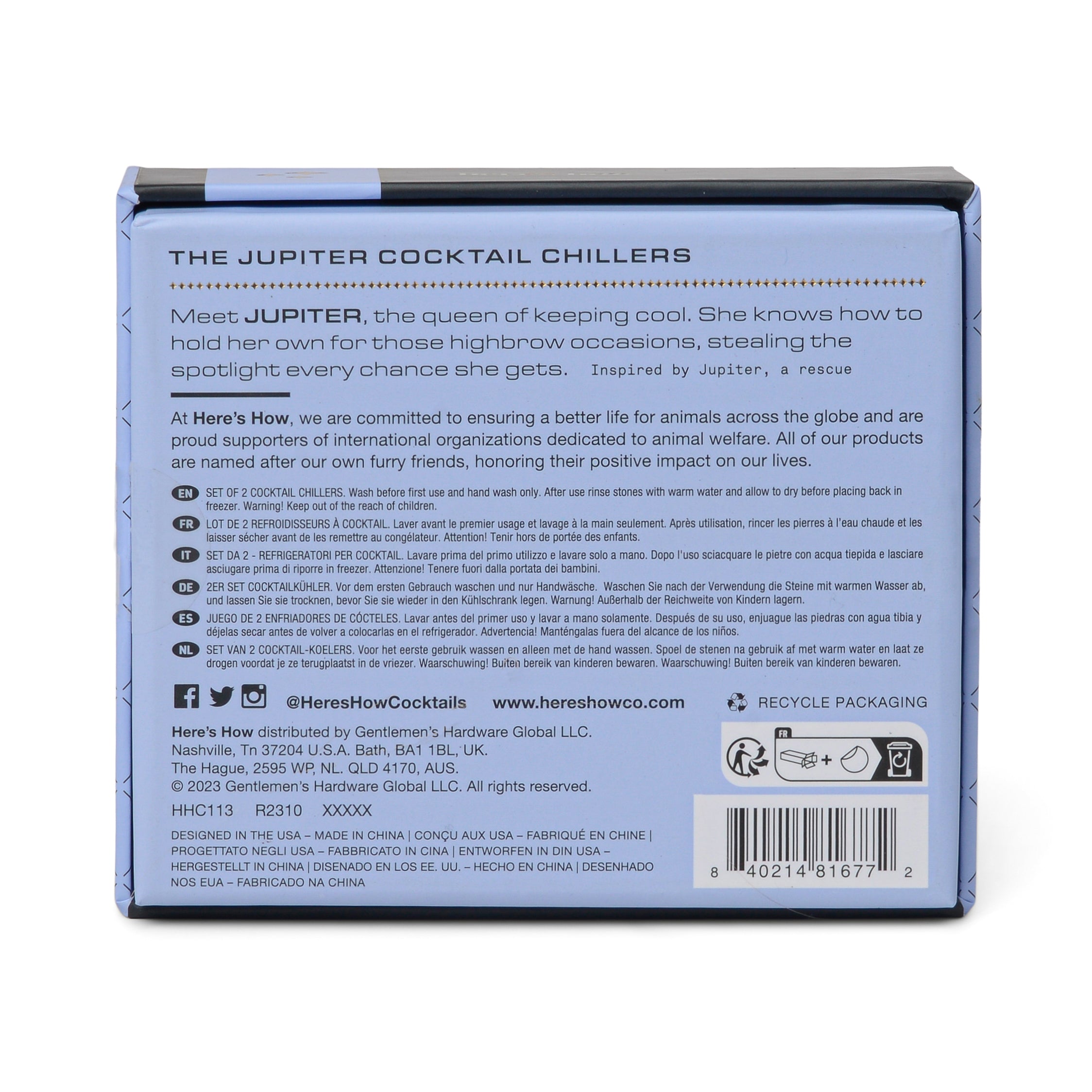 Set da 2 Raffreddatori per Cocktail - The Ruby in Argento