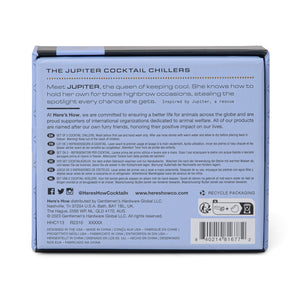 Set da 2 Raffreddatori per Cocktail - The Ruby in Argento