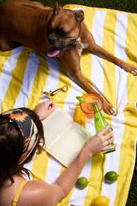 Apribottiglie Foca -  The Blu - Colore Oro