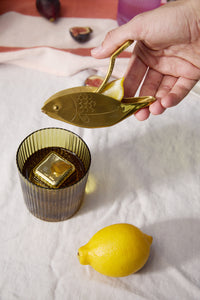 Spremiagrumi Fish The Stevie Oro