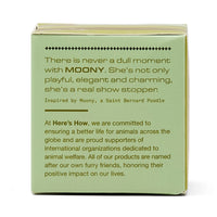 Tappo per Bottiglia in Vetro Moony - Colore Oliva