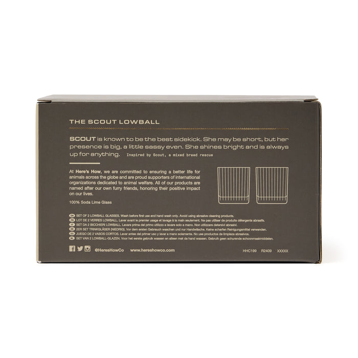 Bicchieri Lowball Scout Set da 2 - Colore Fumo