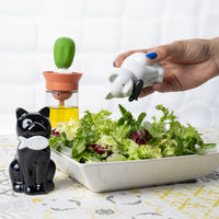 Set sale e pepe a forma di gatti