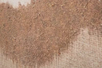 Dipinto Su Tela Browny cm 80X3,7X100