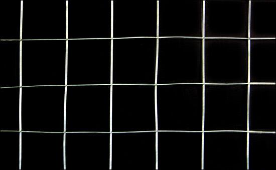 Recinzione in rete metallica argento 100 cm x 5 m grigia 03_0001497