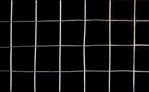 Rete Metallica in Rotolo da 5m Alta 1m Maglia Quadrata Rete per Recinzione - 5 Rotoli pro.tec