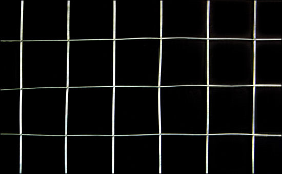 Rete Metallica in Rotolo da 5m Alta 1m Maglia Quadrata Rete per Recinzione - 5 Rotoli pro.tec