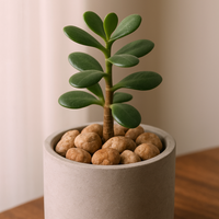 Ciottoli rosso verona eleganti per decorazioni esterne *** misura 25/40, formato 25 kg, confezione 1