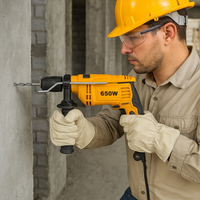 Trapano a percussione 650 watt velocità variabile funzione martello