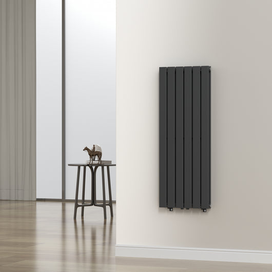 Termosifone Nore ad Acqua Calda Pannello Doppio con Elementi Piatti 120 x 45 cm Nero [neu.haus]