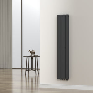 Termosifone Nore ad Acqua Calda Pannello Doppio con Elementi Piatti 160 x 30 cm Nero [neu.haus]