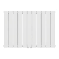 Termosifone Nore ad Acqua Calda Pannello Doppio con Elementi Piatti 60 x 80 cm Bianco [neu.haus]