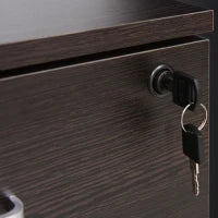 Schedario da Ufficio Cassettiera Per Scrivania in Legno, 2 Cassetti, Serratura con 2 Chiavi, Nero, 40x45x55.6cm