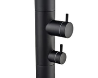 IMEX Doccia Piscina in Acciaio 316 Nero Opaco con Rubinetto Monoforo a 2 Vie e Diffusore Orientabile Modello MICHIGAN