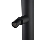 IMEX Doccia Piscina in Acciaio 316 Nero Opaco con Rubinetto Monoforo a 2 Vie e Diffusore Orientabile Modello MICHIGAN