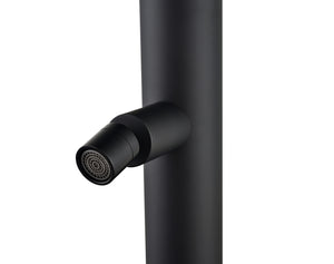 IMEX Doccia Piscina in Acciaio 316 Nero Opaco con Rubinetto Monoforo a 2 Vie e Diffusore Orientabile Modello MICHIGAN