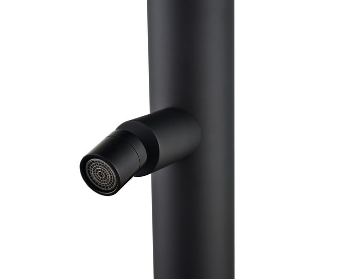 IMEX Doccia Piscina in Acciaio 316 Nero Opaco con Rubinetto Monoforo a 2 Vie e Diffusore Orientabile Modello MICHIGAN