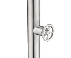 IMEX Doccia piscina in acciaio 316 design raffinato resistente alla corrosione con rubinetto monoforo e diffusore orientabile - Modello POOL