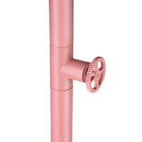 IMEX Doccia piscina rosa corallo in acciaio 316 con diffusore orientabile e rubinetto monoforo modello GPP001-ACL alta qualita anticorrosione per uso esterno