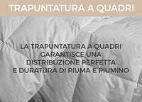 Interno Imbottitura Piumino Invernale 300gr/mq In Piuma D'Oca Bicolor - 1 Piazza e Mezza - Azzurro-Blu