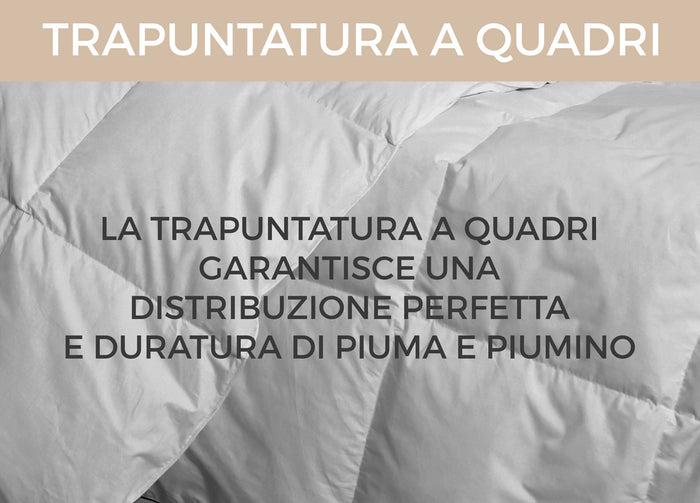 Interno Imbottitura Piumino Invernale 300gr/mq In Piuma D'Oca Bicolor - 1 Piazza e Mezza - Azzurro-Blu