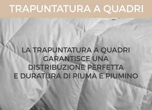 Interno Imbottitura Piumino Invernale 300gr/mq In Piuma D'Oca Bicolor - Matrimoniale - Azzurro-Blu