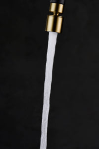 IMEX Aeratore da cucina girevole in ABS due funzioni finitura oro spazzolato Modello M22H Imex-RR0031-OC