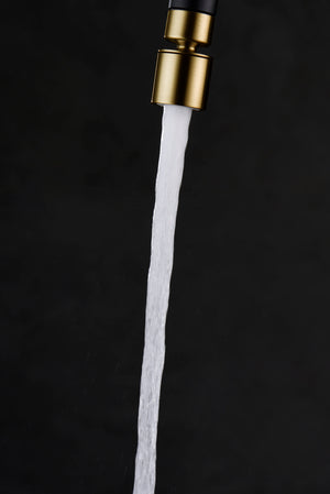 IMEX Aeratore da cucina girevole in ABS due funzioni finitura oro spazzolato Modello M22H Imex-RR0031-OC