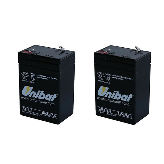 Multipack da 2 batterie al piombo 6 volt 4,5ah ricaricabili per lampade d'emergenza tampone