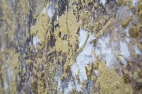 Dipinto Su Tela Super Tree -A- Cm 180X3,8X60