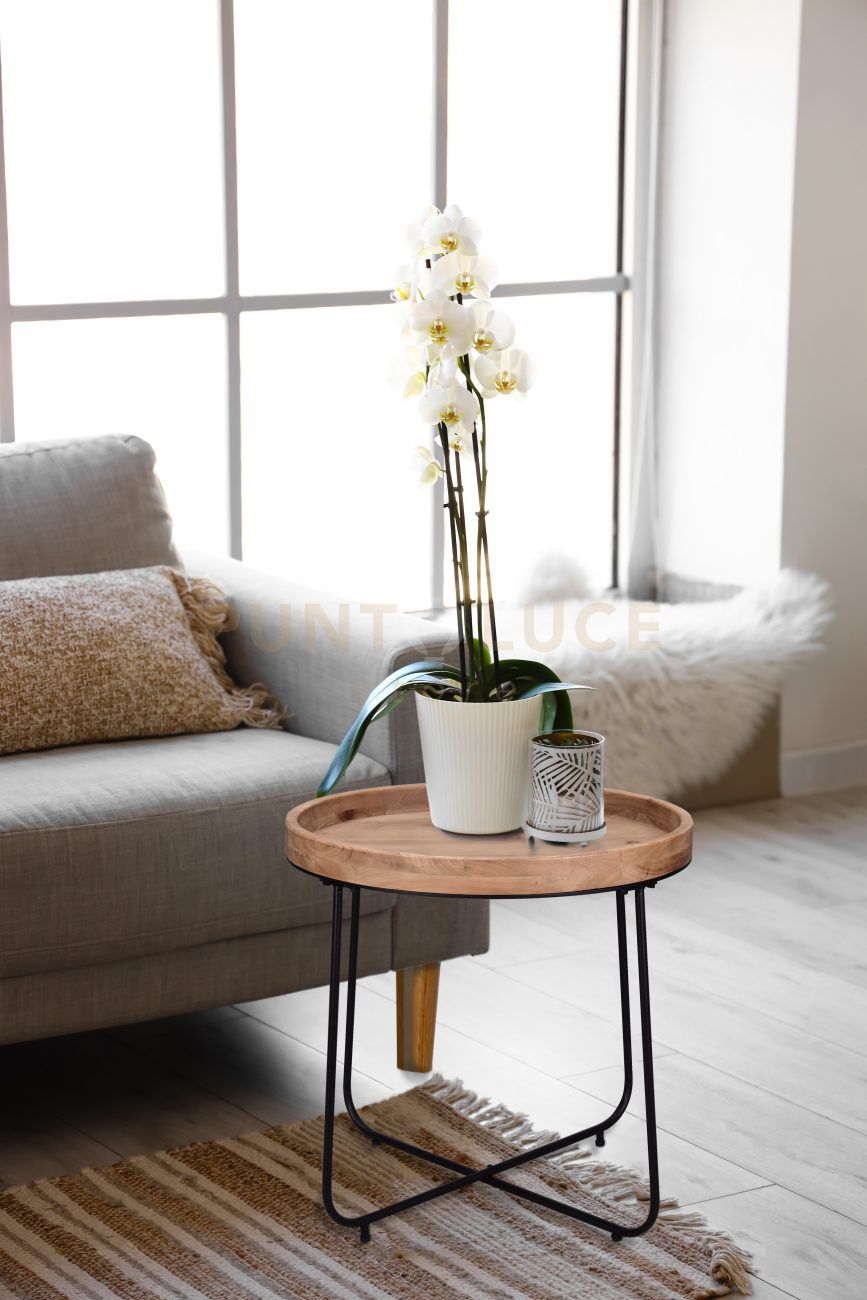 JILL TAVOLO ROTONDO IN LEGNO E METALLO D. 66,5CM H.57,5CM