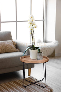 JILL TAVOLO ROTONDO IN LEGNO E METALLO D. 66,5CM H.57,5CM