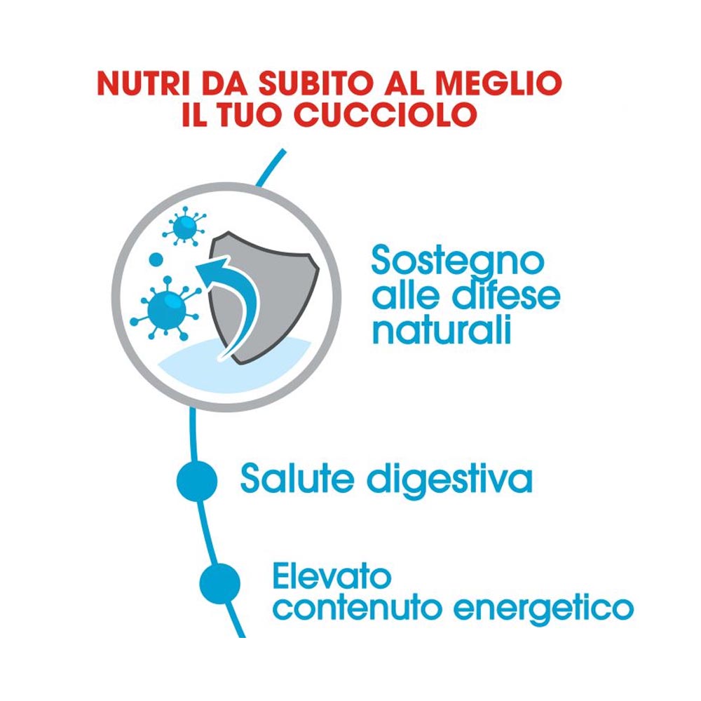 Royal canin mini puppy junior crocchette per cuccioli 3 confezioni da 800 grammi