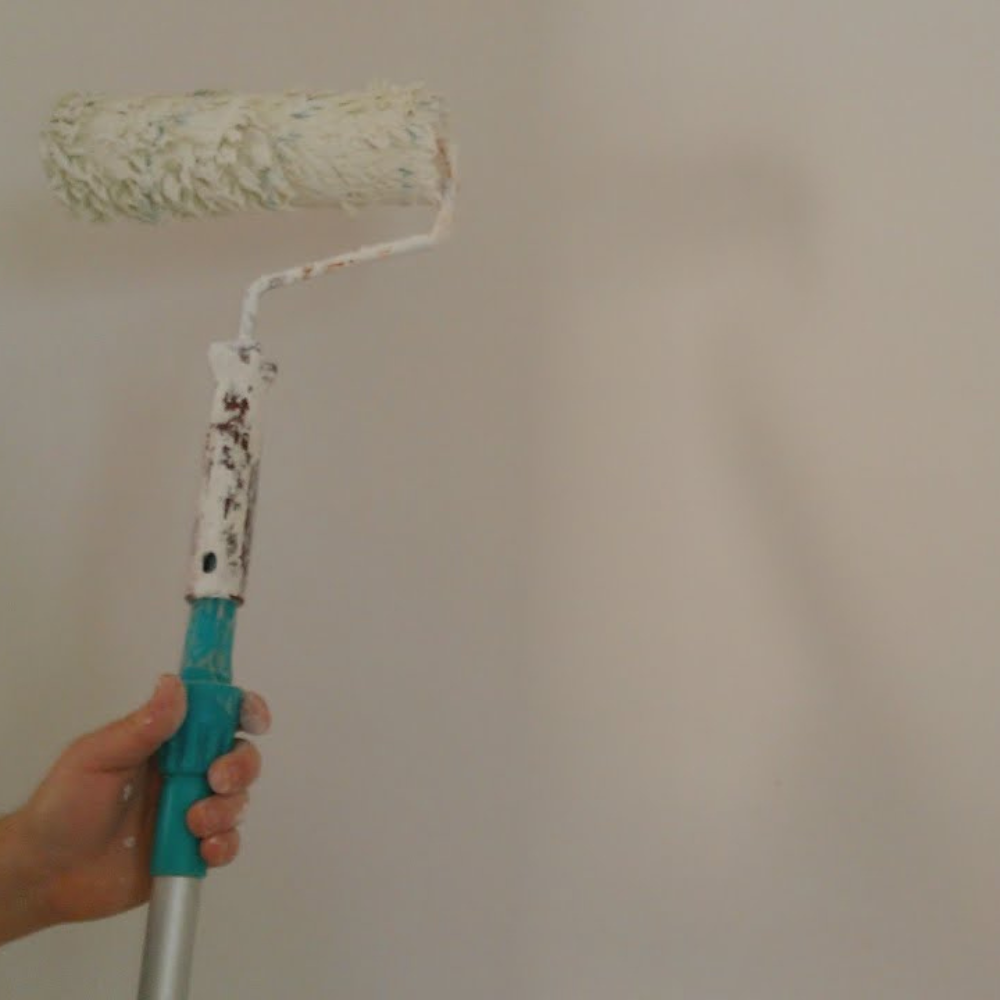 Additivo antimuffa antialga idropitture protezione muri casa fresca ml 200