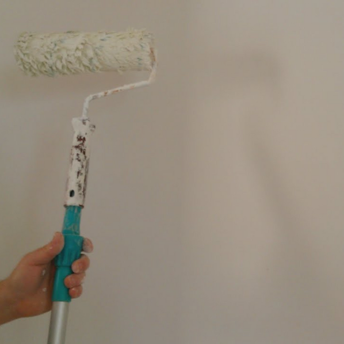 Additivo antimuffa antialga idropitture protezione muri casa fresca ml 200