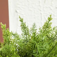 Pianta Finta Albero Cedro con Vaso Incluso per Interno ed Esterno, Altezza 55 cm, Verde